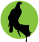 Falcon Control